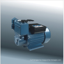 Self-Priming Vortex Pump (25ZB-30-0.37A)